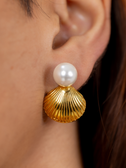 Shell Earrings