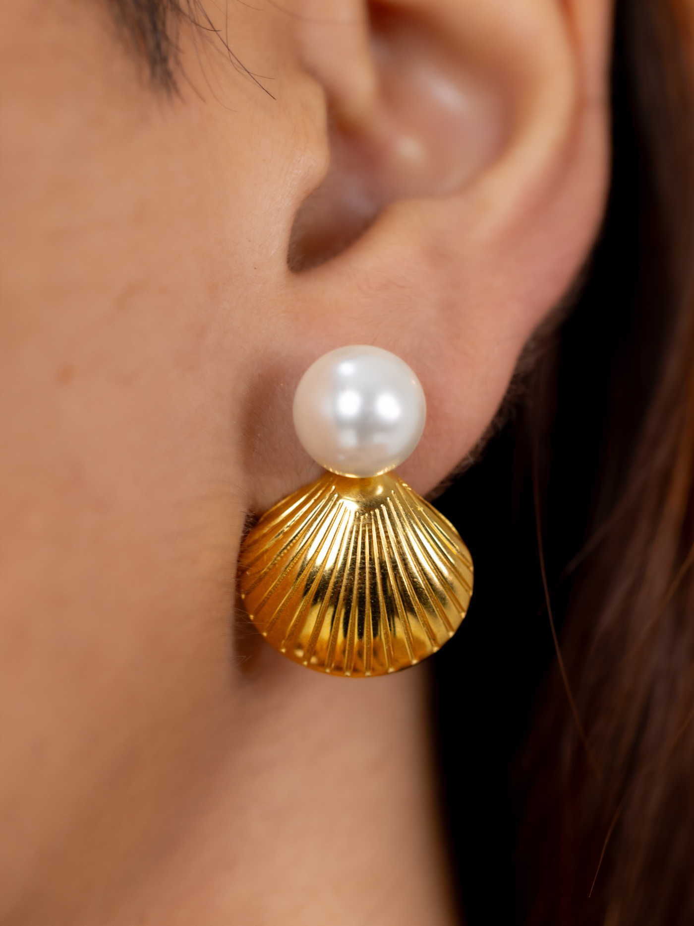 Shell Earrings