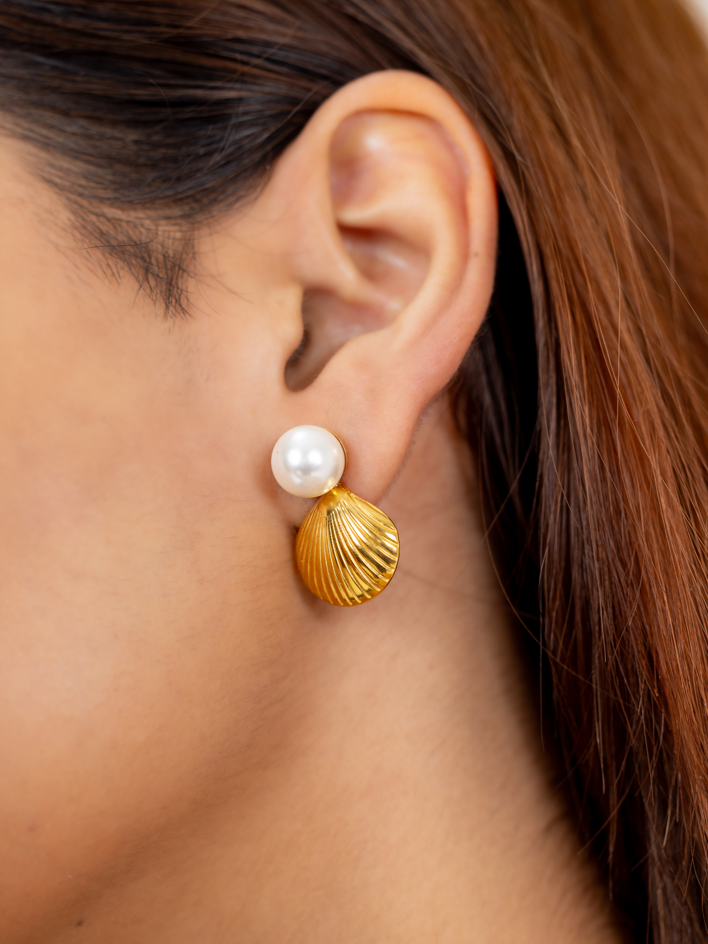 Shell Earrings