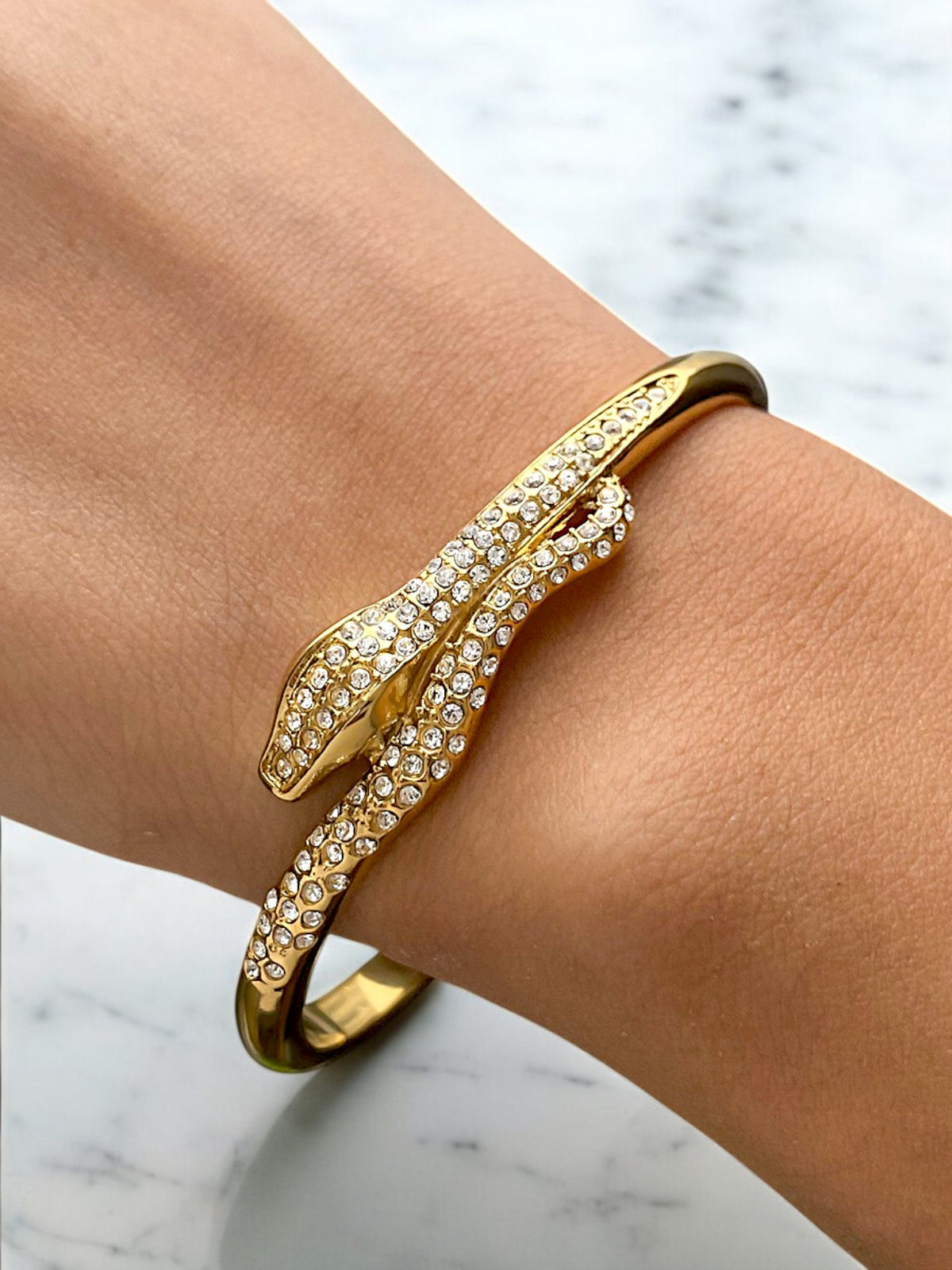 Snake Bracelet